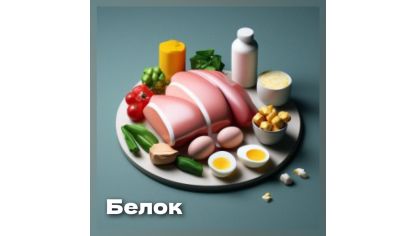 Белок. Что нужно знать?
