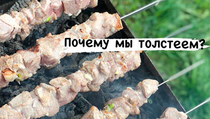 Почему мы толстеем?